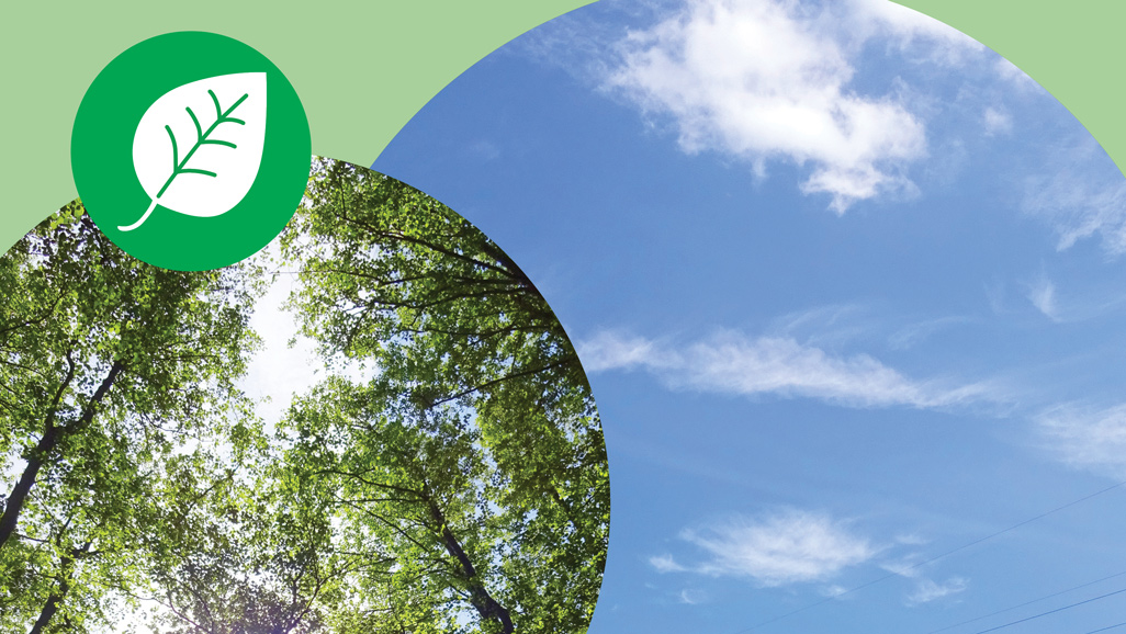 Logo der Plus-Seite und Landschaftsbilder Logo der Plus-Seite und Landschaftsbilder